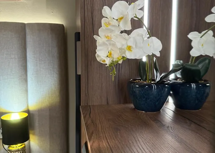 къщата на тати *